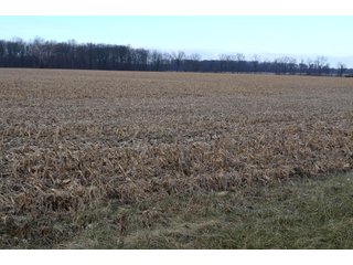 Property photo 12 - LAND AUCTION - 19.55+/- ACRES IN 1 TRACT IN ALLEN COUNTY, INDIANA